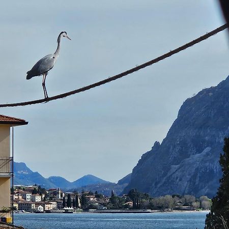 L'Airone - Casa Vacanza Mandello del Lario Exterior foto